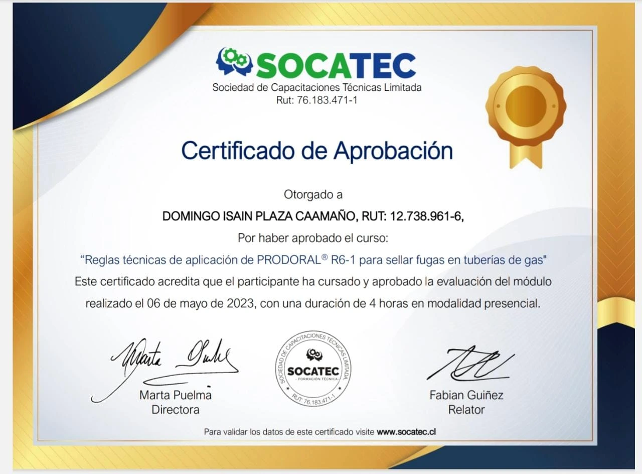 Certificado Prodoral R6-1 Domingo Isain