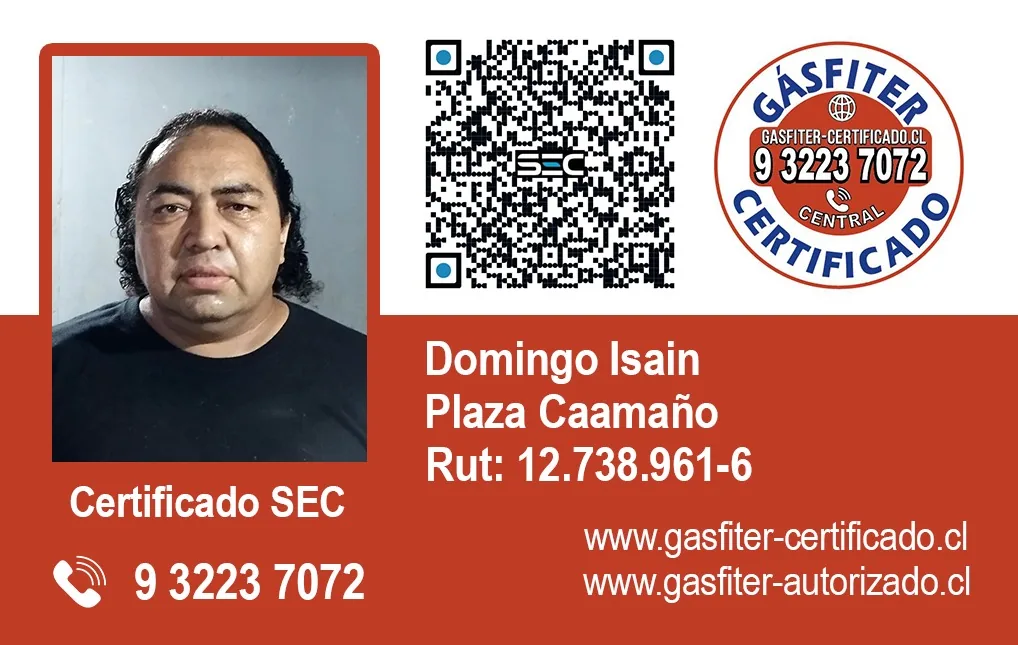 Domingo Isain Plaza Caamaño
